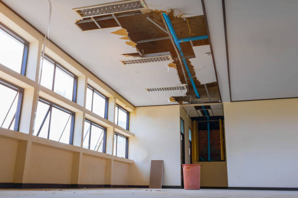Best Fire Damage Restoration  in Bellevue, MI