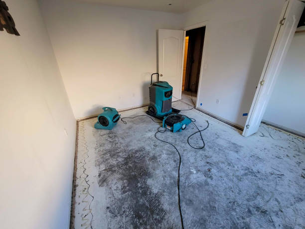 Best Water damage contractors near me  in Bellevue, MI