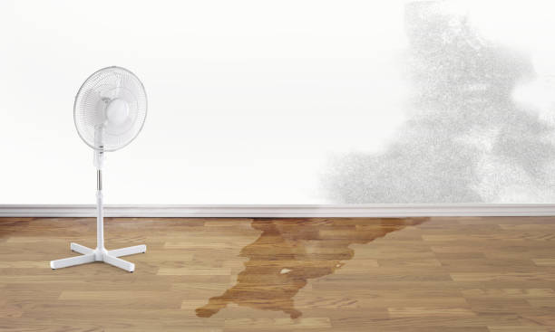 Best 24/7 water damage repair  in Bellevue, MI