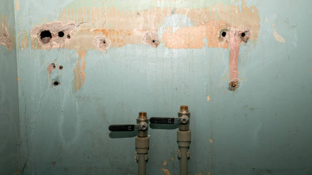 Best Flood damage cleanup  in Bellevue, MI