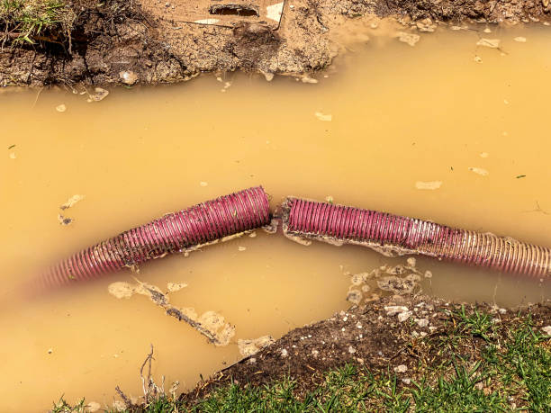Best 24-hour water damage restoration  in Bellevue, MI