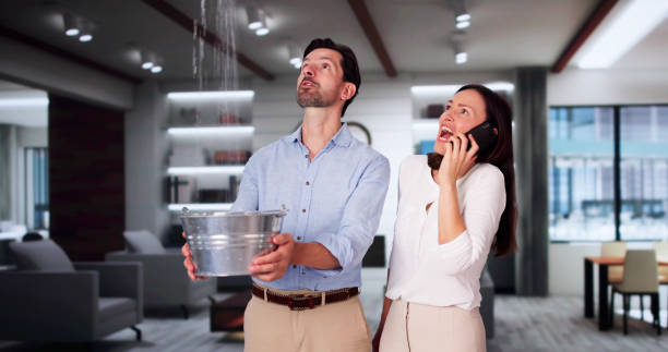 Best Carpet water damage restoration  in Bellevue, MI